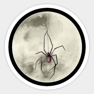 Full Moon Redback Spider Sticker